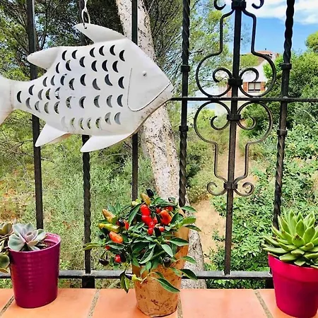 Casa Asia. Relax A 5 Minutos De Calas Top. Holiday home *